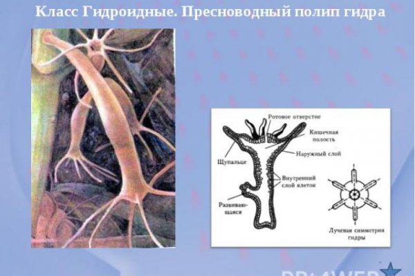 Аккаунты кракен
