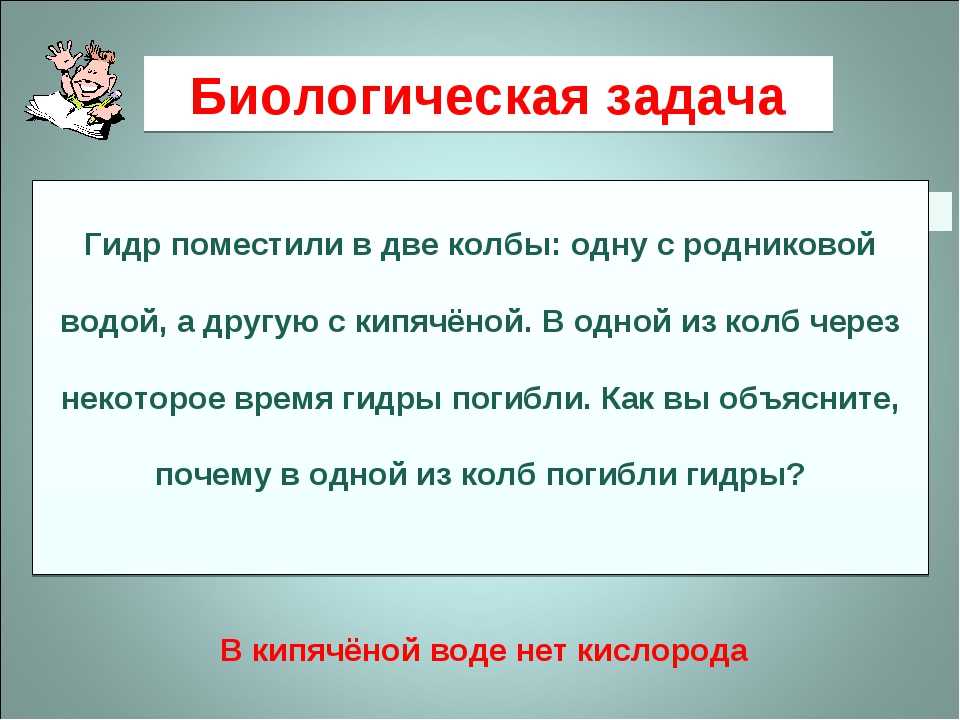 Кракен зеркало krk market com