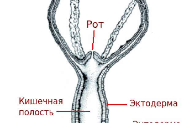 Кракен перестал работать