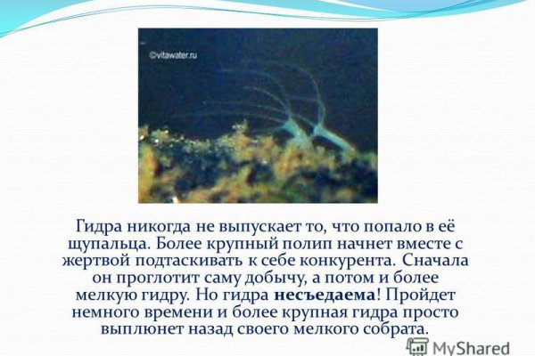При входе на пишет вы забанены