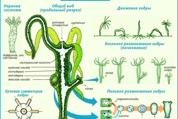 Кракен даркнет аккаунт