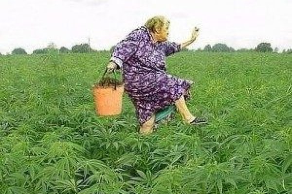 Кракен площадка вход