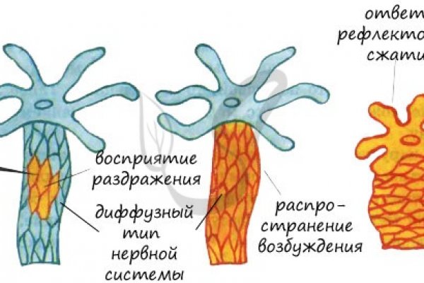 Ссылка кракен kraken torion net