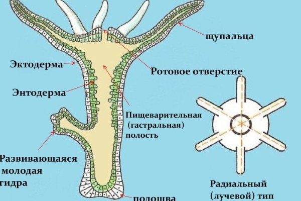 Кракен зеркало 2